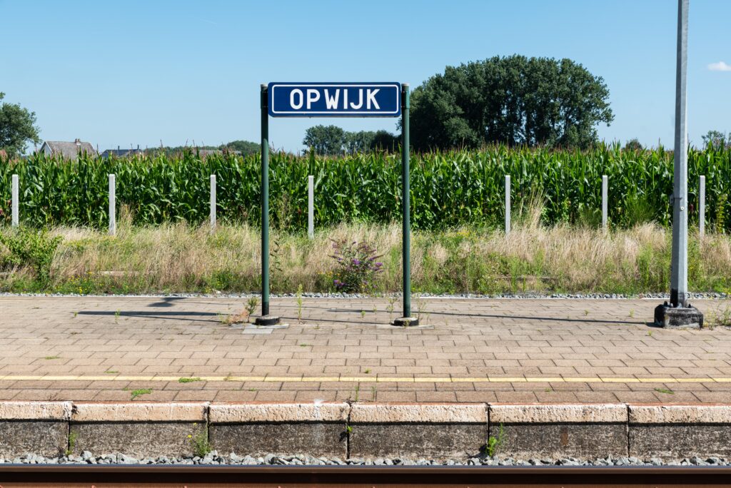 Topwijk